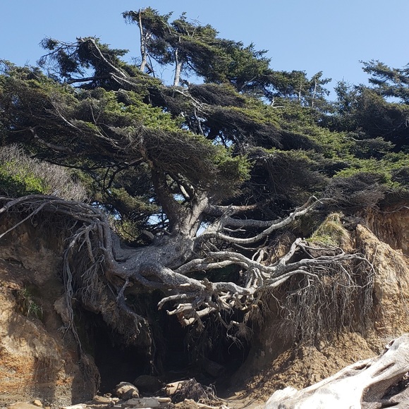 Meet your Posher, Tonya - Picture 2 of 2